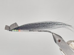 1000016648