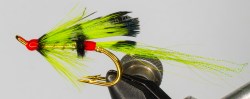 green_shrimp