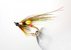 wg-golden